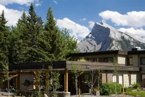 The Juniper Hotel & Bistro